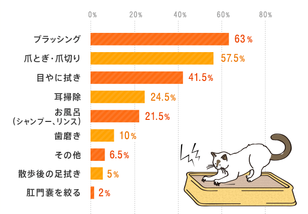 みんなどうしてる？フードは？保険は？ペットの健康管理アンケート 