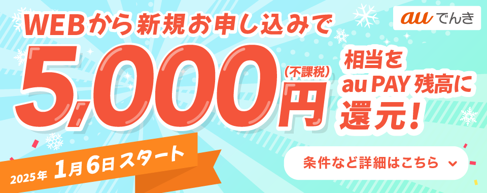 新規申し込みで5,000円（不課税）相当を還元