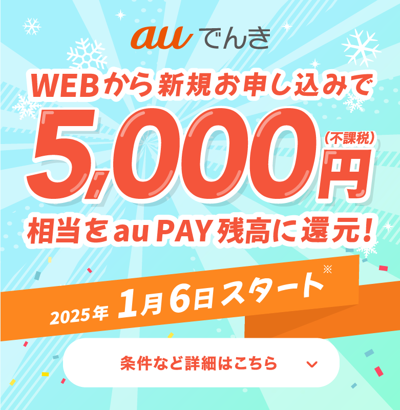 新規申し込みで5,000円（不課税）相当を還元